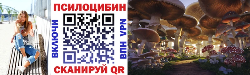 купить закладку kraken онион Галлюциногенные грибы Cubensis Тюкалинск
